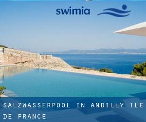 Salzwasserpool in Andilly (Île-de-France)