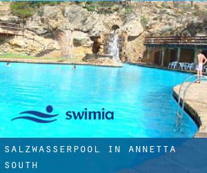 Salzwasserpool in Annetta South