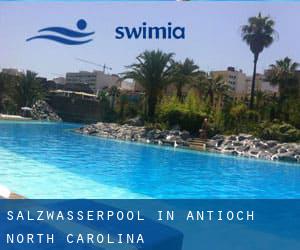 Salzwasserpool in Antioch (North Carolina)