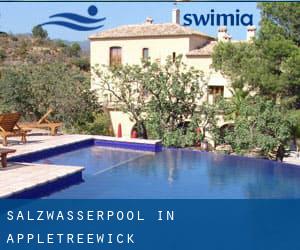 Salzwasserpool in Appletreewick