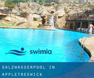 Salzwasserpool in Appletreewick