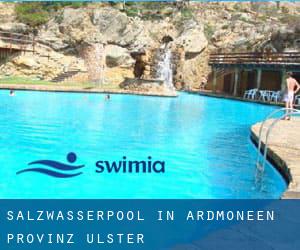 Salzwasserpool in Ardmoneen (Provinz Ulster)