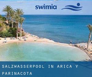 Salzwasserpool in Arica y Parinacota