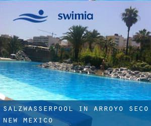 Salzwasserpool in Arroyo Seco (New Mexico)