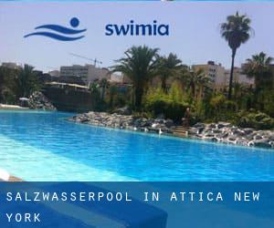 Salzwasserpool in Attica (New York)