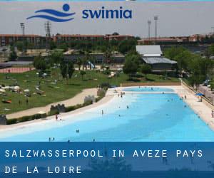 Salzwasserpool in Avezé (Pays de la Loire)