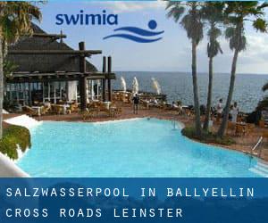 Salzwasserpool in Ballyellin Cross Roads (Leinster)