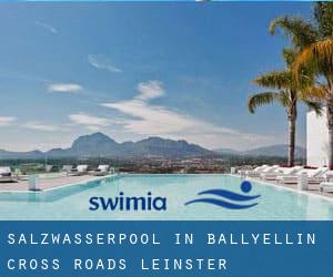 Salzwasserpool in Ballyellin Cross Roads (Leinster)