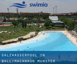 Salzwasserpool in Ballymacanaun (Munster)