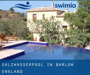 Salzwasserpool in Barlow (England)