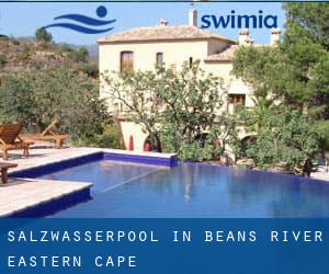 Salzwasserpool in Beans River (Eastern Cape)