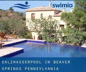 Salzwasserpool in Beaver Springs (Pennsylvania)