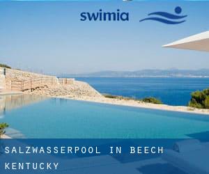 Salzwasserpool in Beech (Kentucky)