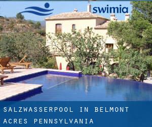 Salzwasserpool in Belmont Acres (Pennsylvania)