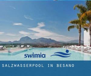 Salzwasserpool in Besano