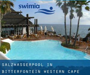 Salzwasserpool in Bitterfontein (Western Cape)