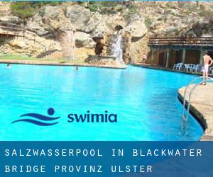 Salzwasserpool in Blackwater Bridge (Provinz Ulster)