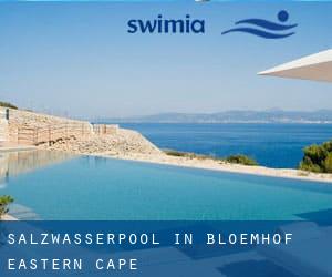 Salzwasserpool in Bloemhof (Eastern Cape)