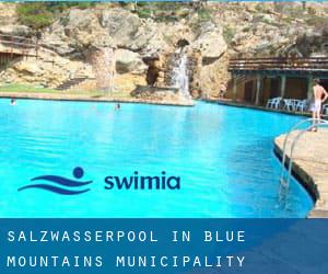 Salzwasserpool in Blue Mountains Municipality