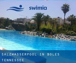 Salzwasserpool in Boles (Tennessee)