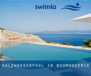 Salzwasserpool in Boomooderie