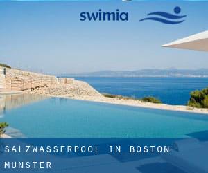 Salzwasserpool in Boston (Munster)