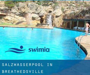 Salzwasserpool in Breathedsville