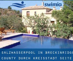 Salzwasserpool in Breckinridge County durch Kreisstadt - Seite 1