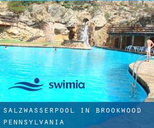 Salzwasserpool in Brookwood (Pennsylvania)