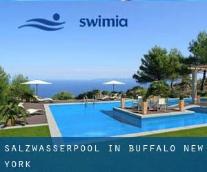 Salzwasserpool in Buffalo (New York)