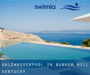 Salzwasserpool in Bunker Hill (Kentucky)