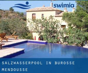 Salzwasserpool in Burosse-Mendousse