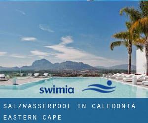 Salzwasserpool in Caledonia (Eastern Cape)