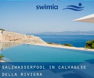 Salzwasserpool in Calvagese della Riviera