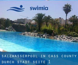 Salzwasserpool in Cass County durch Stadt - Seite 1