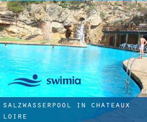 Salzwasserpool in Chateaux Loire