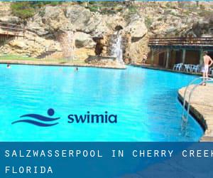 Salzwasserpool in Cherry Creek (Florida)