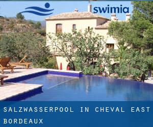 Salzwasserpool in Cheval East Bordeaux