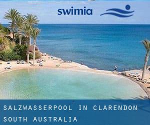 Salzwasserpool in Clarendon (South Australia)