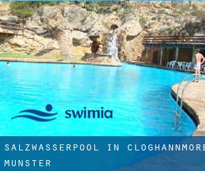 Salzwasserpool in Cloghannmore (Munster)