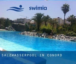 Salzwasserpool in Conord