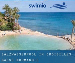 Salzwasserpool in Croisilles (Basse-Normandie)