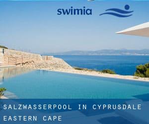 Salzwasserpool in Cyprusdale (Eastern Cape)