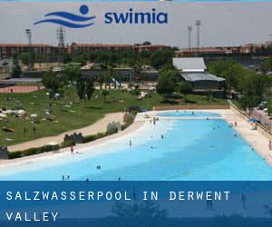 Salzwasserpool in Derwent Valley