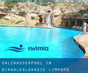 Salzwasserpool in Dikgaleslokasie (Limpopo)