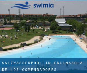 Salzwasserpool in Encinasola de los Comendadores