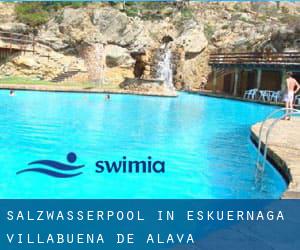 Salzwasserpool in Eskuernaga / Villabuena de Álava