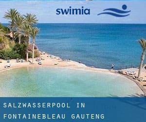 Salzwasserpool in Fontainebleau (Gauteng)