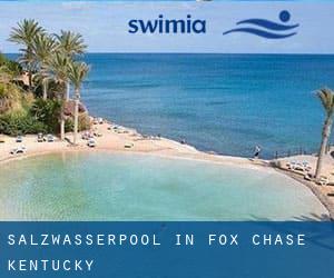 Salzwasserpool in Fox Chase (Kentucky)