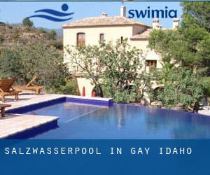 Salzwasserpool in Gay (Idaho)